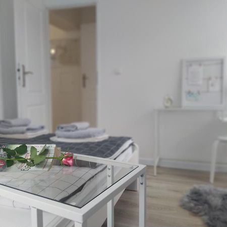 Apartament Fanaberia Ladek Zdroj 外观 照片