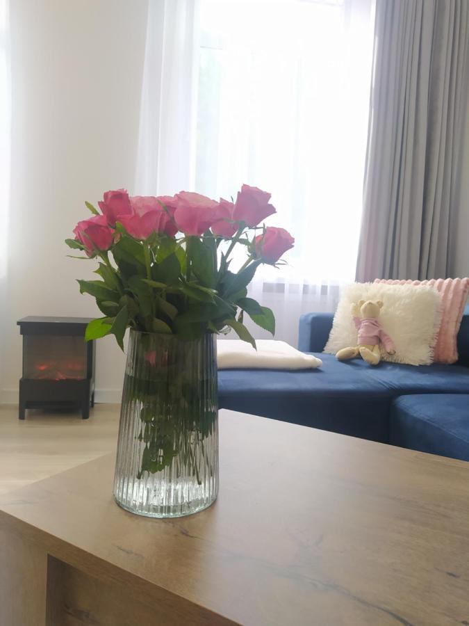 Apartament Fanaberia Ladek Zdroj 外观 照片